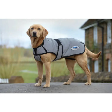 Comfitec Reflective Dog Coat