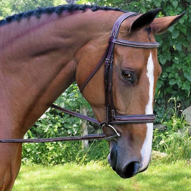 Black Oak Laurel Wide Fancy Stitch Hunter Bridle