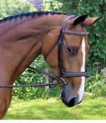 Black Oak Laurel Wide Fancy Stitch Hunter Bridle