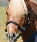 Mini Nylon Halter