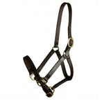 Leather Adjustable Turnout Halter without Snap