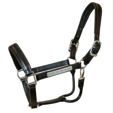 Dressage Halter