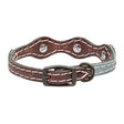 Savannah Dog Collar