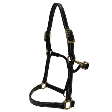 Fancy Stitched Adjustable Premium Leather Pony Halter With Brass Hardware