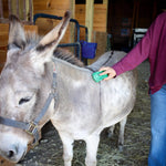 GroomBug for Equine