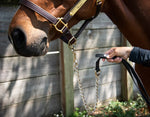 PRO4MANCE Com4rt Grip Horse Lead with Chain