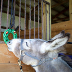 Luna Ring with Hanging Kit for Equine