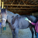 GroomRaker for Equine