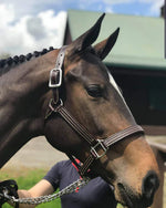 British Halter