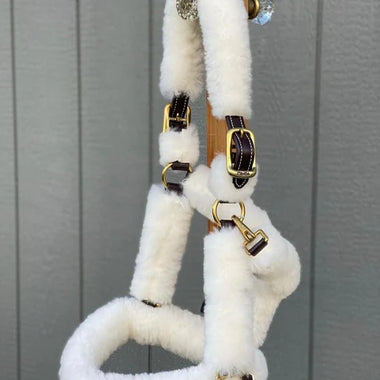 Shipping Halter with Sheepskin
