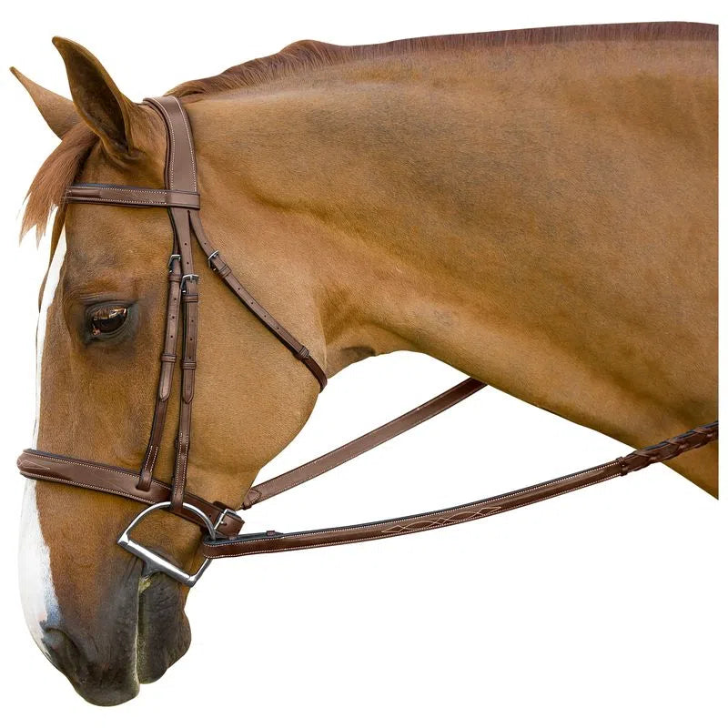 Brunello Handy Hunter Bridle