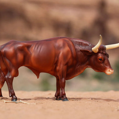 Texas Longhorn Bull