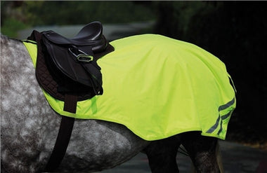 Equi-Flector Exercise Sheet