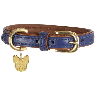 Digby and Fox Padded Leather Dog Collar