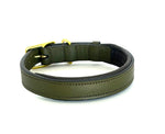 Flat Padded Dog Collar