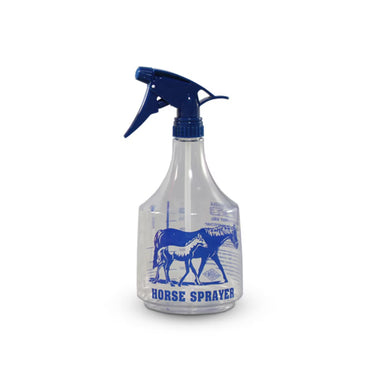 Clear Spray Bottle