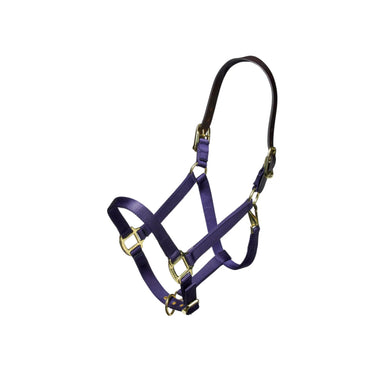 Nylon halter with leather head strap