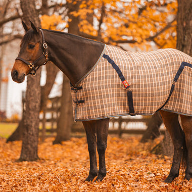 5/A Baker® Stable Sheet
