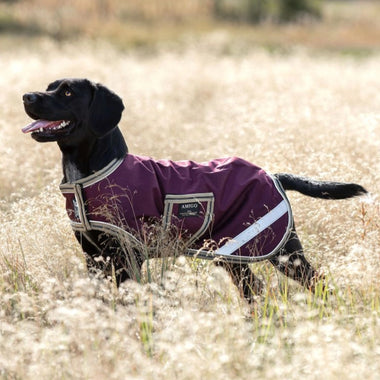 Amigo Ripstop Waterproof Dog Coat