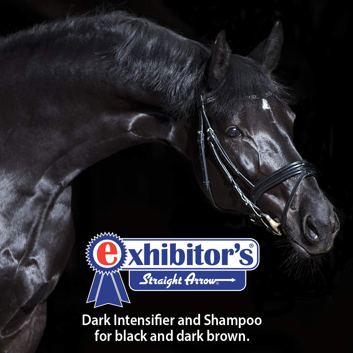 Quic Black - Dark Intensifier & Shampoo