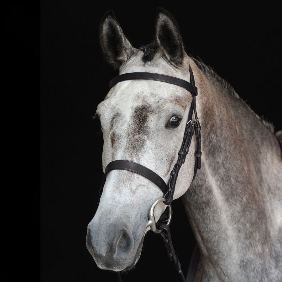 Hunt Cavesson Bridle IV