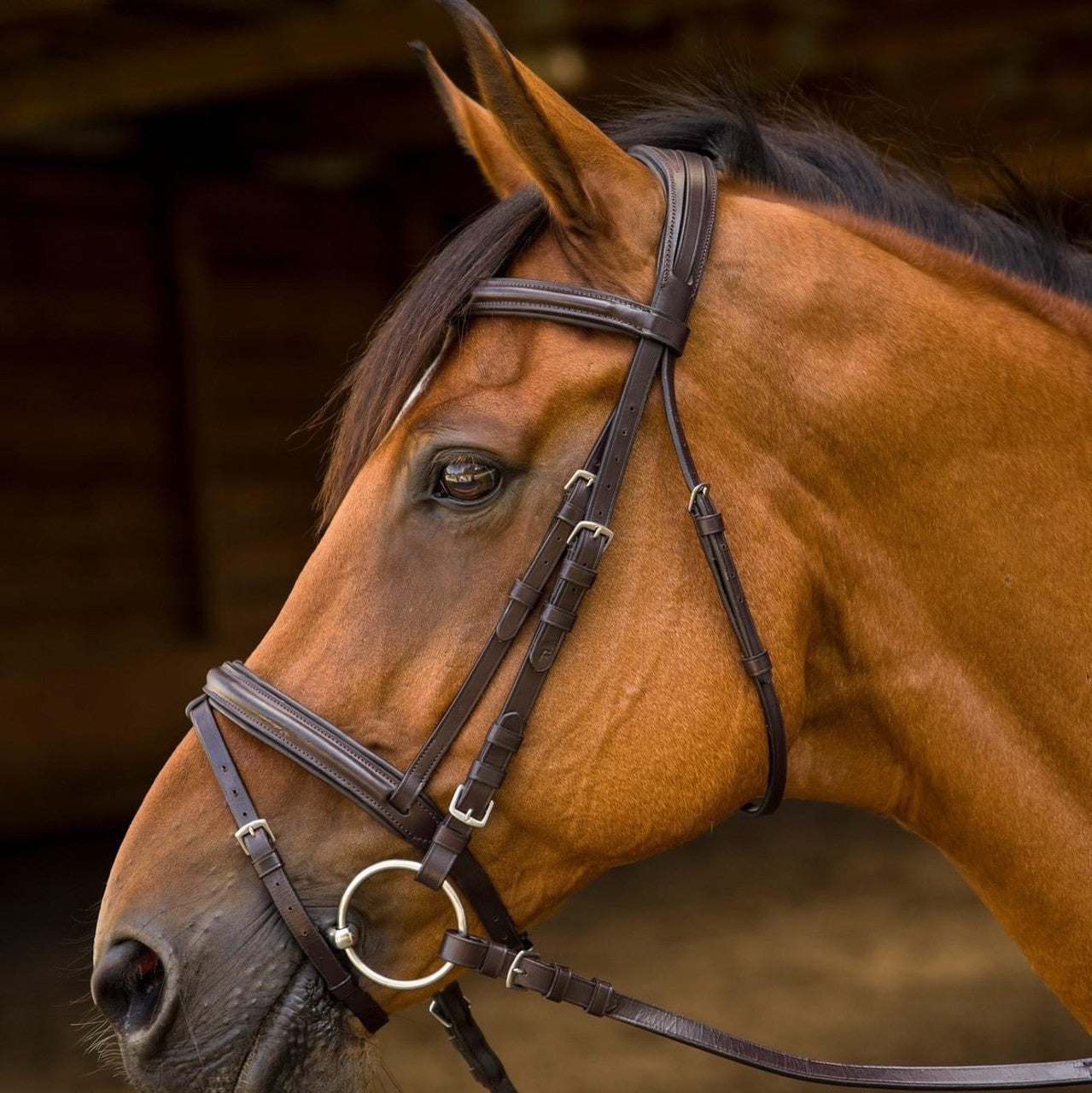 Avignon Louisville Bridle with Reins