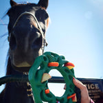 Luna Ring with Hanging Kit for Equine