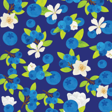 Blueberries Pair and a Spare