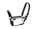 Kentucky Halter