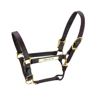 Kentucky Halter