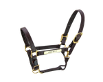 Kentucky Halter