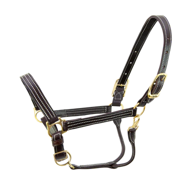 Kentucky Halter