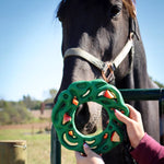 Luna Ring with Hanging Kit for Equine