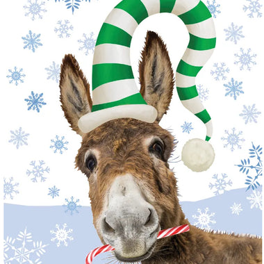 BOXED CHRISTMAS CARDS: Donkey & Candy