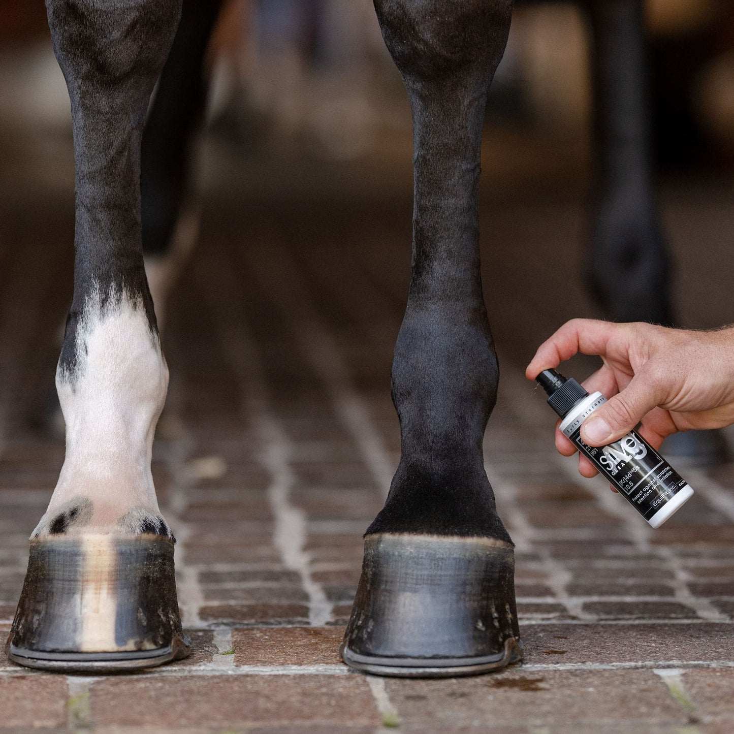 AgSilver Daily Strength CleanSpray™
