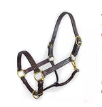 Leather Track Halter With Snap Throat & Adjustable Nose