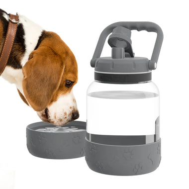 Asobu Barkley Water Jug