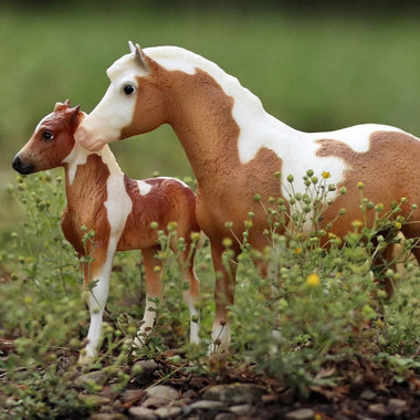 Breyer Misty Stormy ON Blurred colored background