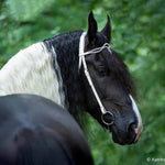 Breyer Traditional Battlefield Angel HP actual horse face