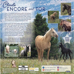 Breyer Traditional Encore and Tor Back Packaging