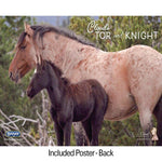 Breyer Traditional Encore and Tor Cloud's Tor and Knight Back of Poster