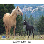 Breyer Traditional Encore and Tor Cloud's encore and tor front of Poster