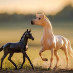 Breyer Traditional Encore and Tor on blurred field background