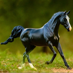 Breyer Traditional KB Omega Fahim on Blurred grass background