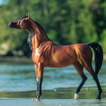 Breyer Traditional RD Marciea Bey | Champion Arabian Mare on blurred lake background