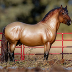 Breyer Traditional Theo in paddock