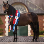Breyer Traditional Vivaldi De Besilu  Actual Horse infront of barn