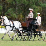 Breyer Traditional sweetwaters-zorah-belle actual horse