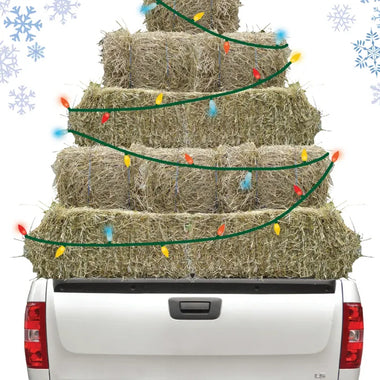 BOXED CHRISTMAS CARDS: Hay Truck With Snowflakes