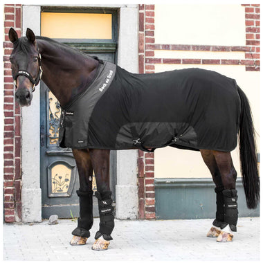 Royal Mesh Rug Deluxe